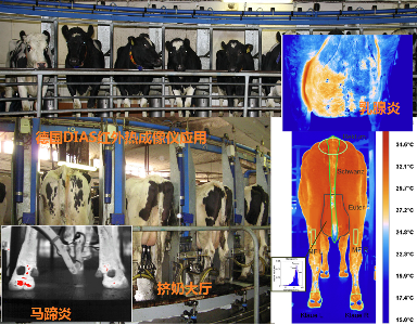 VIONA�F�t(y��)�ھ��t��������ϵ